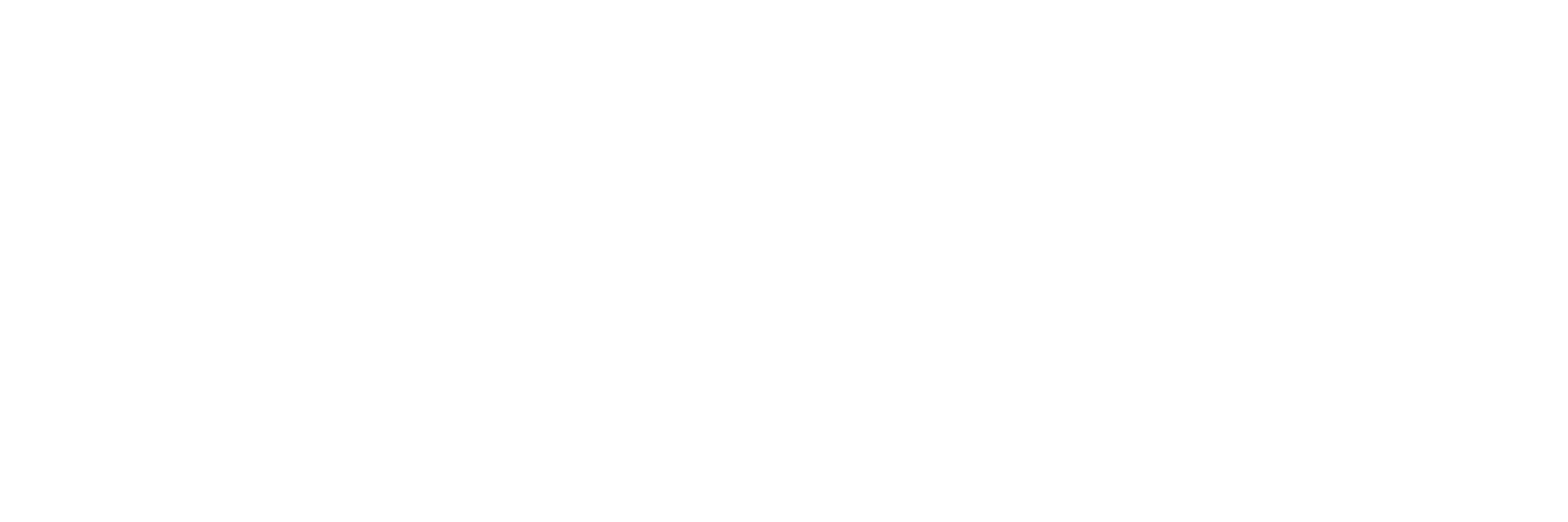 The Castle Bar Logo